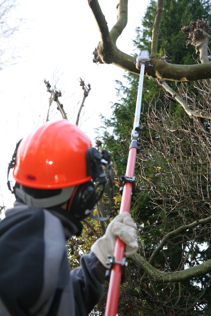 Long reach chainsaw petrol